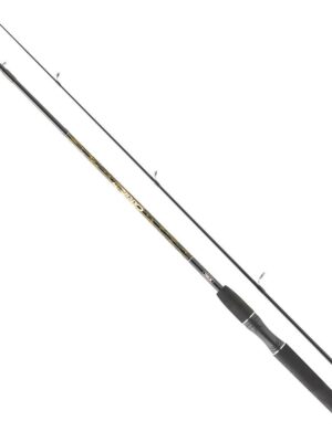 Mitchell Catch Spinning Rod