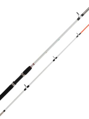 Berkeley Big Game Spinning Rod