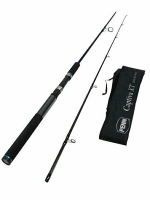 Penn Captiva XT Spinning Rod